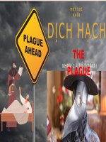 Tiểu luận dịch hạch  bệnh dịch hạch (the plague) là một bệnh truyền nhiễm do trực khuẩn yersinia pestis