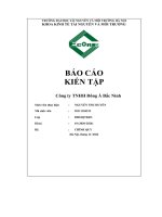 Báo cáo kiến tập công ty tnhh đông á bắc ninh