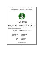 Báo cáo thực hành nghề nghiệp “công ty tnhh neg việt nam