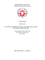 Tiểu luận các nhân tố ảnh hưởng lượng xăng tiêu thụ tại  tỉnh phú thọ giai đoạn 2005 2022