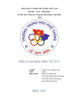 Tiểu luận bài thơ từ ấy