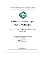 Báo cáo thực tập nghề nghiệp 2 công ty tnhh đầu tư thương mại tổng hợp liên minh