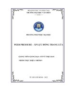 Phương pháp học đại học peer pressure – áp lực đồng trang lứa