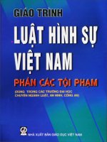 Giáo trình luật hình sự việt nam   phần các tội phạm