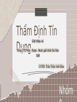 Thẩm định tín dụng  giới thiệu về tổng ctcp bia   rượu   nước giải khát sài gòn sab