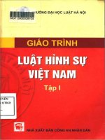 Giáo trình luật hình sự việt nam   tập 1