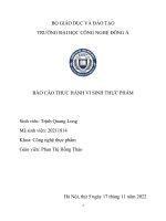 Báo cáo thực hành vi sinh thực phẩm  vi khuẩn lactic