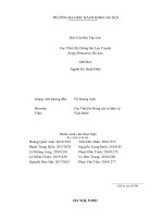 Thiết bị chống sét lan truyền surge protective divices