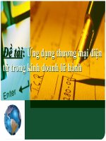 Tiểu Luận - Quản Trị Kinh Doanh Lữ Hành - Đề Tài - Thương Mại Điện Tử Trong Kinh Doanh Lữ Hành