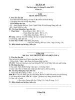 Tuần19In         (1)