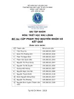 BÀI TẬP NHÓM MÔN TRIẾT HỌC MÁC-LÊNIN ĐỀ TÀI CẶP PHẠM TRÙ NGUYÊN NHÂN VÀ KẾT QUẢ