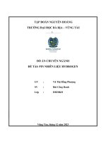 Đồ án chuyên ngành đề tài pin nhiên liệu hydrogen