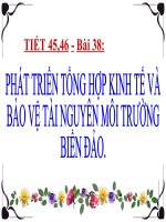 Bai 38 phat trien tong hop kinh te va bao ve tai nguyen moi truong bien  dao