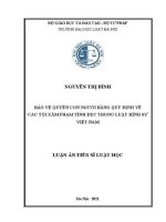 Luận án tiến sĩ Luật học: Bảo vệ quyền con người bằng quy định về các tội xâm phạm tình dục theo luật hình sự Việt Nam