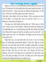 Gà trống kiêu ngạo tvdhst