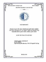 Luận văn thạc sĩ Luật học: Pháp luật về cho thuê đất để thực hiện các dự án đầu tư và thực tiễn áp dụng tại thành phố Lạng Sơn, tỉnh Lạng Sơn