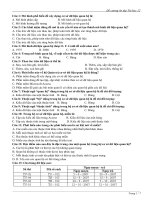 phạm thị thanh xuân 2004