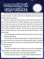 Tvdhst đom đóm và giọt sương