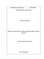 Luận văn thạc sĩ Luật học: Pháp luật Việt Nam về tổ chức đại diện tập thể lao động tại cơ sở
