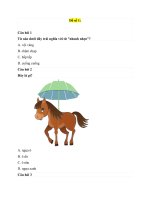 Tntv cấp tỉnh lớp 5