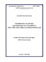 Luận văn thạc sĩ Luật học: Mô hình bảo vệ, hỗ trợ nạn nhân bạo lực gia đình và thực tiễn thực hiện tại thành phố Hà Nội 