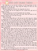 Tvdhst chú chó trung thành