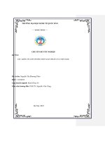 Chuyên đề tốt nghiệp: Các nhân tố ảnh hưởng đến xuất khẩu của Việt Nam