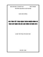 Luận văn thạc sĩ Luật học: Các tình tiết tăng nặng trách nhiệm hình sự theo quy định của Bộ luật Hình sự năm 2015
