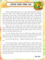 Chuyện người trồng ngô tvdhst