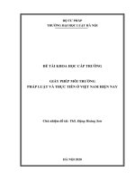 Đề tài nghiên cứu khoa học cấp Trường: Giấy phép môi trường - Pháp luật và thực tiễn ở Việt Nam hiện nay