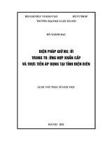 Luận văn thạc sĩ Luật học: Biện pháp giữ người trong trường hợp khẩn cấp và thực tiễn áp dụng tại tỉnh Điện Biên
