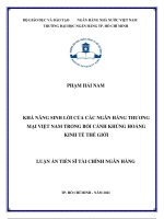 Khả năng sinh lời của các ngân hàng thương mại việt nam trong bối cảnh khủng hoảng kinh tế thế giới