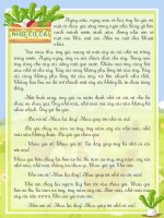 Nhổ củ cải tvdhst