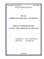 Đề tài nghiên cứu khoa học cấp Trường: Pháp luật bình đẳng giới và thực tiễn thi hành tại Việt Nam