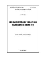 Luận văn thạc sĩ Luật học: Các hình phạt bổ sung theo quy định của Bộ luật Hình sự năm 2015