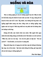 Ngỗng và rùa  tvdhst