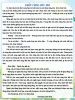 Chắp cánh ước mơ tvdhst