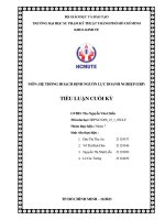 MÔN HỆ THỐNG HOẠCH ĐỊNH NGUỒN LỰC DOANH NGHIỆP (ERP)