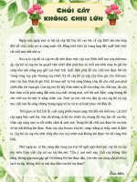 Chồi cây không chịu lớn tvdhst