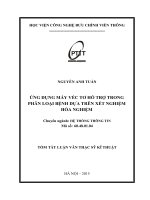 Ứng dụng máy véc tơ hỗ trợ trong phân loại bệnh dựa trên kết quả xét nghiệm hóa nghiệm