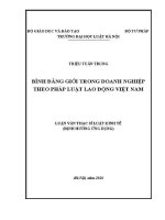 Luận văn thạc sĩ Luật học: Bình đẳng giới trong doanh nghiệp theo pháp luật lao động Việt Nam