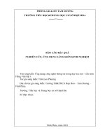 Skkn ứng dụng công nghệ thông tin dạy học tv 1