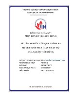 BÁO CÁO GIƯA KY MÔN HÀNH VI KHÁCH HÀNG ĐỀ TÀI NGHIÊN CỨU QUY TRÌNH RA QUYẾT ĐỊNH MUA GIÀY CHẠY BỘ CỦA NGƯỜI TIÊU DÙNG