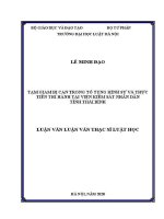 Luận văn thạc sĩ Luật học: Tạm giam bị can trong tố tụng hình sự và thực tiễn thi hành tại Viện Kiểm sát nhân dân tỉnh Thái Bình