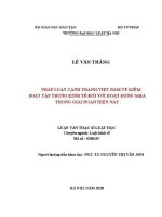Luận văn thạc sĩ Luật học: Pháp luật cạnh tranh Việt Nam về kiểm soát tập trung kinh tế đối với hoạt động M&A trong giai đoạn hiện nay