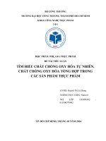 TÌM HIỂU CHẤT CHỐNG OXY HÓA TỰ NHIÊN, CHẤT CHỐNG OXY HÓA TỔNG HỢP TRONG CÁC SẢN PHẨM THỰC PHẨM