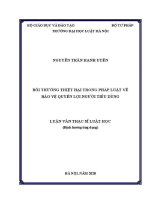 Luận văn thạc sĩ Luật học: Bồi thường thiệt hại trong pháp luật về bảo vệ quyền lợi người tiêu dùng
