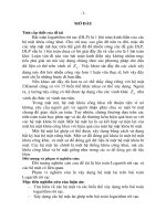 Nghiên cứu các hệ mật lai ghép xây dựng trên bài toán Logarithm rời rạc