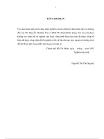 Mức độ công bố thông tin phát triển bền vững trong mối quan hệ với chất lượng thông tin kế toán và hiệu quả hoạt động của các công ty niêm yết tại việt nam