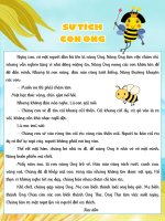 Tvdhst sự tích con ong